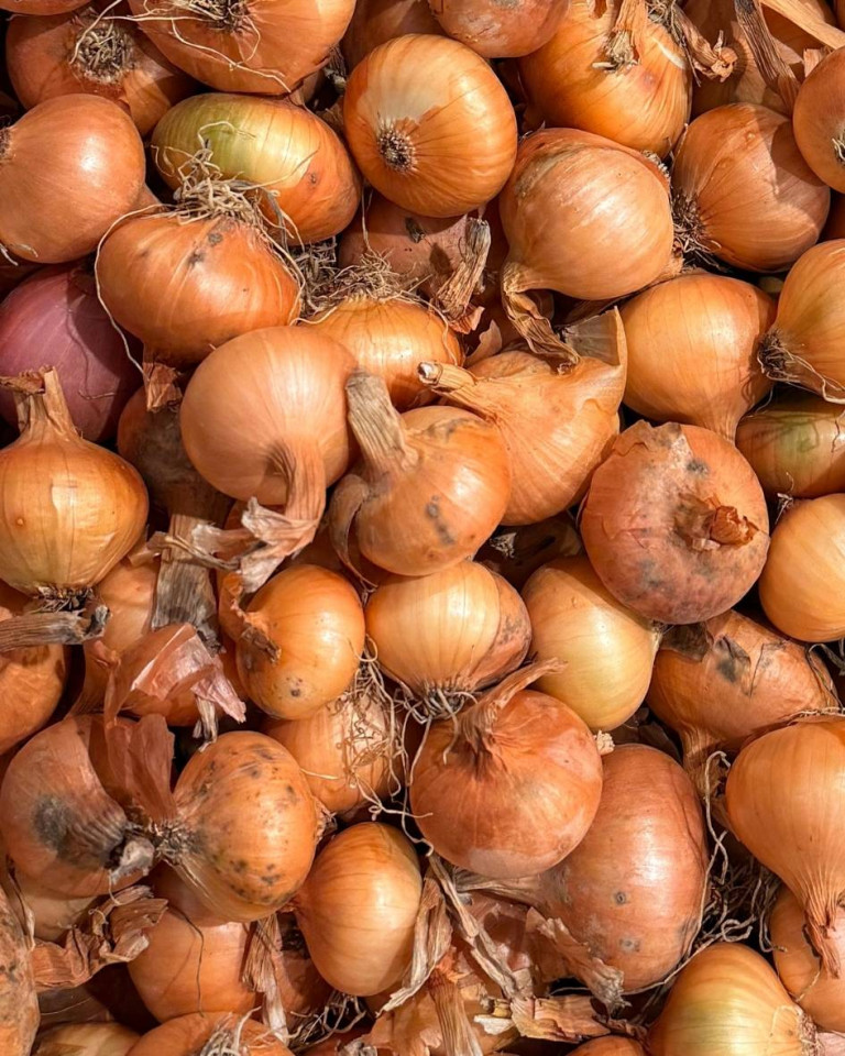 Ceapa galbena, ECO, 500g (calibru mic)