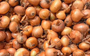 Ceapa galbena, ECO, 500g (calibru mic)