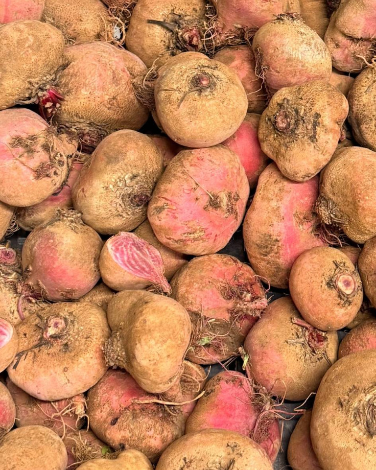 Sfecla chioggia rosie, ECO, aprox 500g