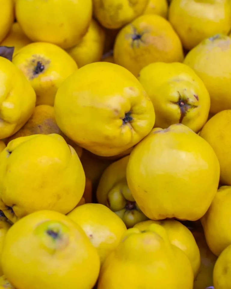 Gutuie, ECO, 1buc (min 350g)