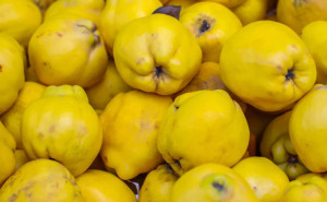 Gutuie, ECO, 1buc (min 350g)