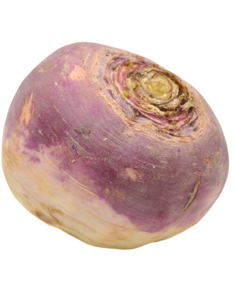 Napi, ECO, 1buc (calibru mare)