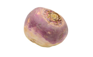 Napi, ECO, 1buc (calibru mare)