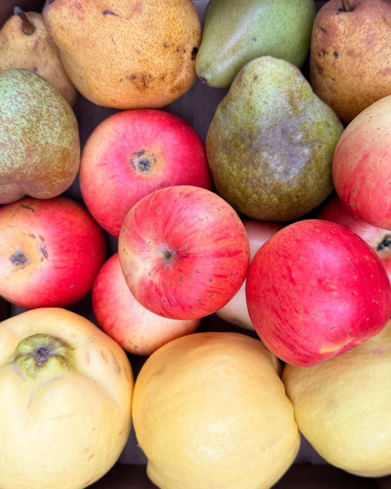 Ladita TRIO de fructe, ECO, 3 kg