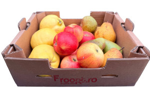 Ladita TRIO de fructe, ECO, 3 kg