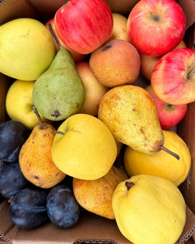 Ladita cu fructe de sezon, ECO, aprox 3 kg (mica)