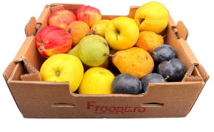 Ladita cu fructe de sezon, ECO, aprox 3 kg (mica)