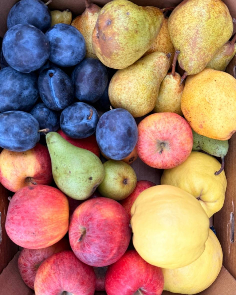 Ladita cu fructe de sezon, ECO, aprox 6kg (mare)