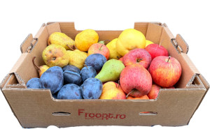 Ladita cu fructe de sezon, ECO, aprox 6kg (mare)