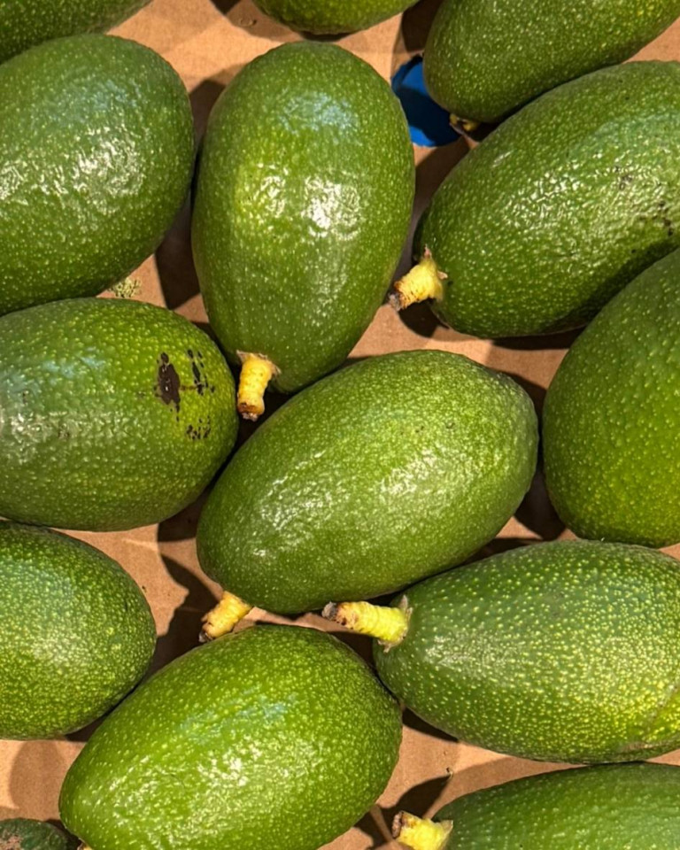 Avocado, ECO, 1 buc (calibru mic)