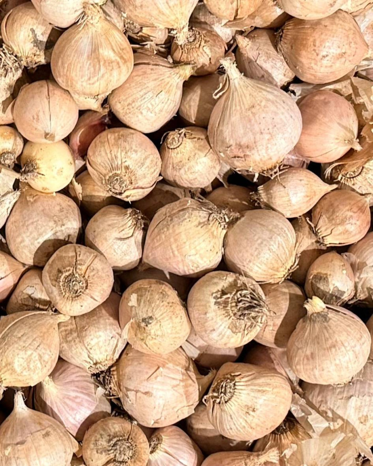 Usturoi romanesc de Copalau, BAIB, 150g