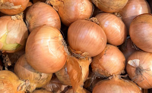 Ceapa galbena, ECO, min 500g