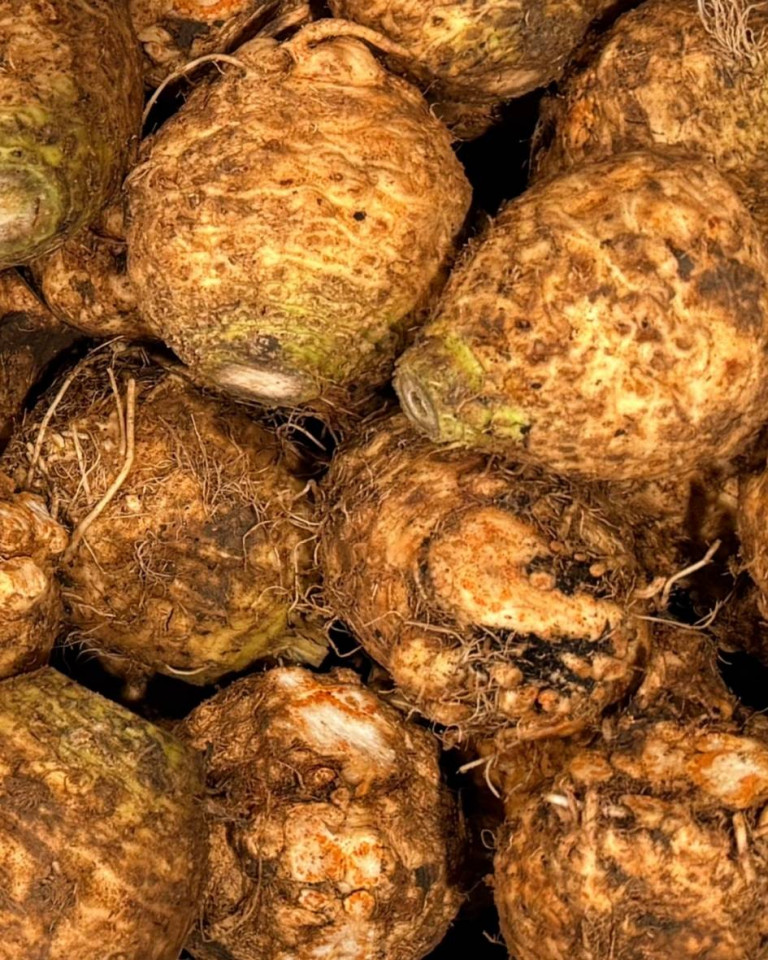 Telina de radacina, ECO, 1buc (min 100g)