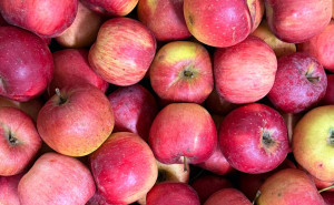 Mere Florina, ECO, 1kg (calibru mic)