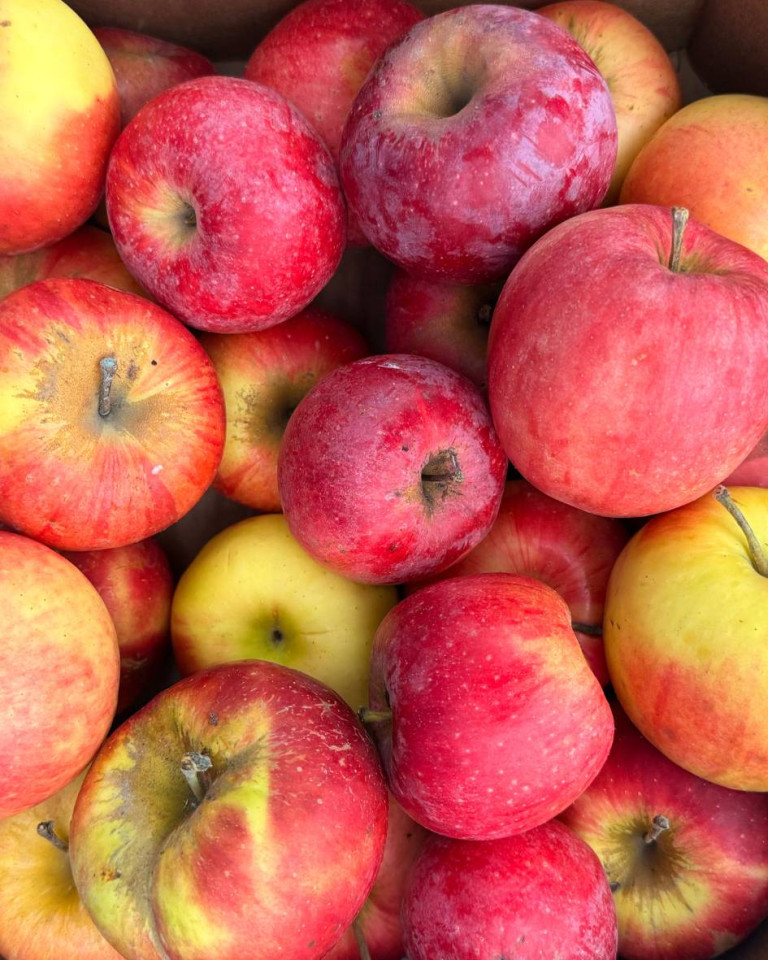 Mix de mere, ECO, 3kg