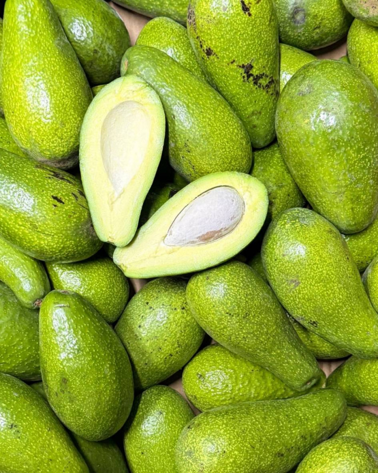 Avocado BIO, 1 buc