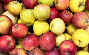 Mix de mere mici, ECO, 1kg