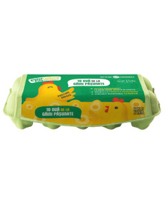 Oua EGGcellent, ECO, 10 buc