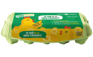 Oua EGGcellent, ECO, 10 buc