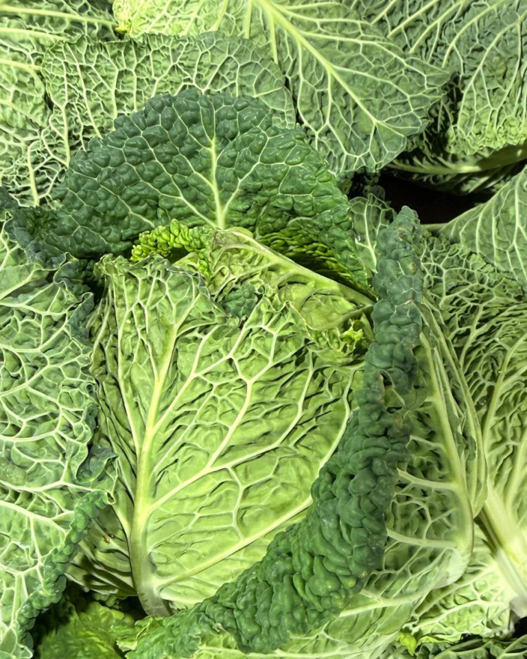 Varza creata, ECO, 1 buc