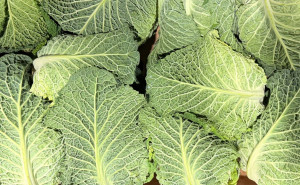 Varza creata, ECO, 1 buc