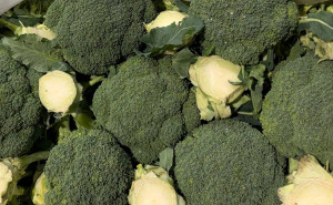 Broccoli, ECO, 1 buc (min 300g)