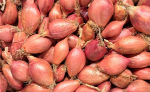 Ceapa Shallots, ECO, 500g