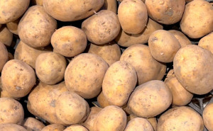Cartofi albi, ECO, 1kg