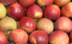 Mere Dalinette, ECO, 500g