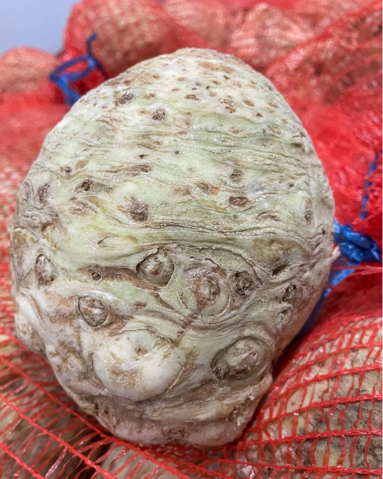 Telina de radacina, ECO, 1buc (SVM)