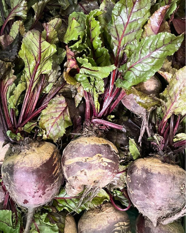 Sfecla rosie, ECO, 3 buc