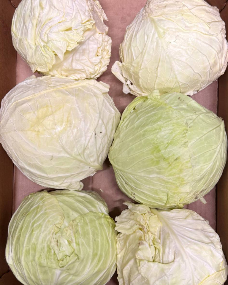 Varza alba ECO, 1 buc