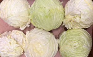 Varza alba ECO, 1 buc