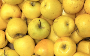 Mere Golden, ECO, 3 buc