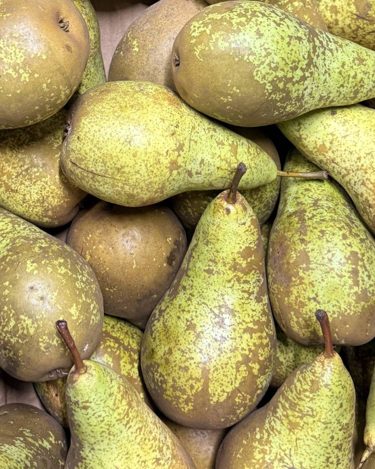 Pere Conference, ECO, min 600g