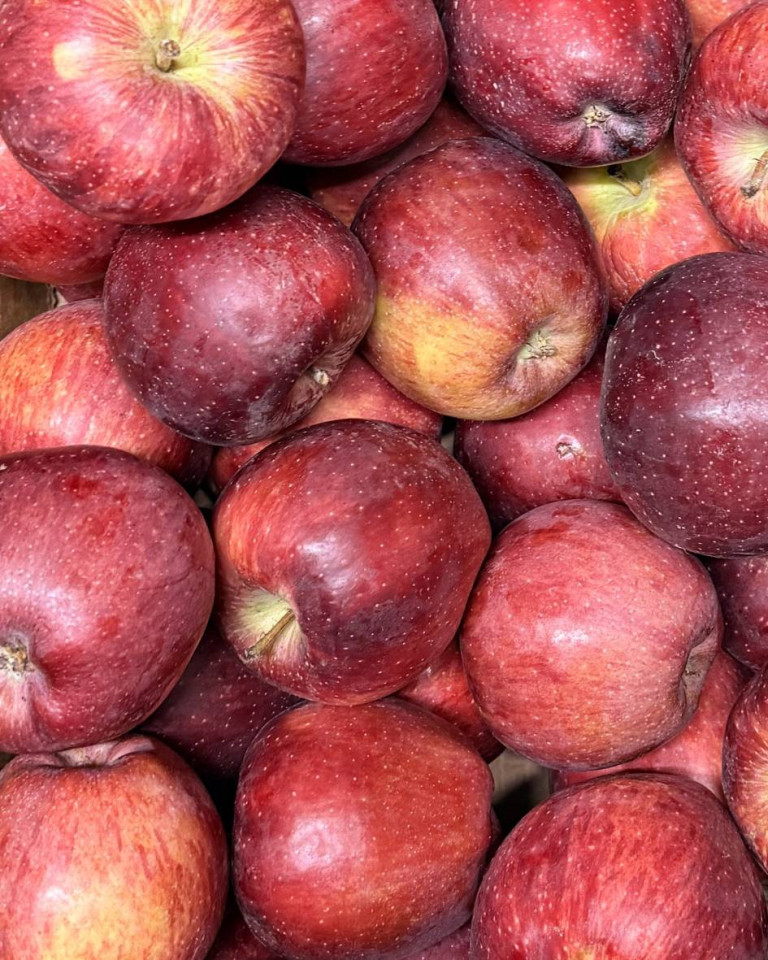 Mere Starkimson, ECO, 2buc