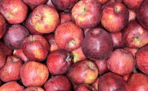 Mere Starkimson, ECO, 3buc