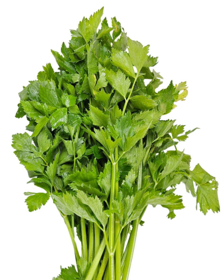 Frunze de telina, ECO, 1 leg