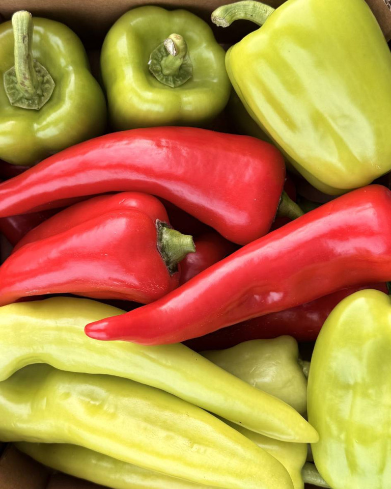 MIX de ardei, ECO, aprox 1,6kg