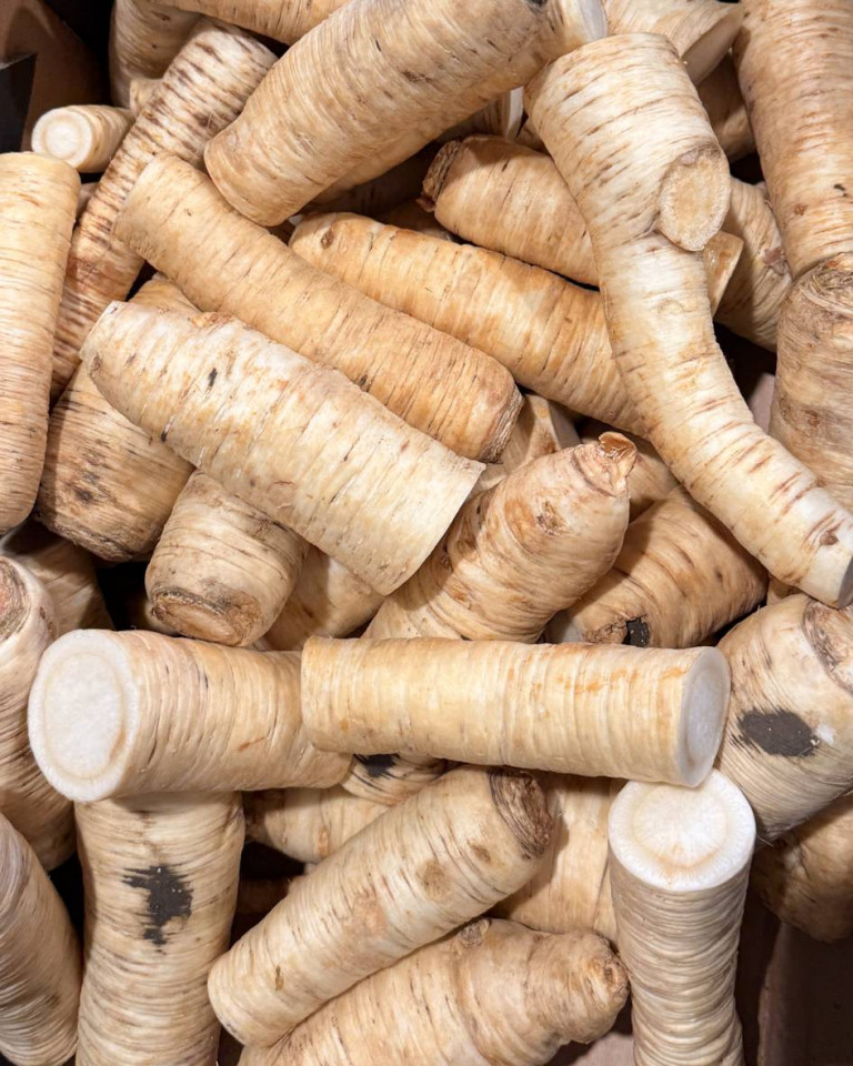 Pastarnac de radacina, ECO, 1kg (SVM)