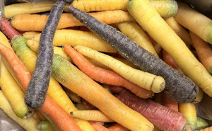 Morcovi Curcubeu, ECO, 500g