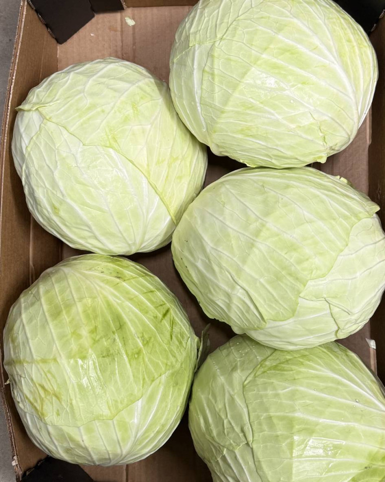 Varza alba ECO, 1 buc (minim 2kg)