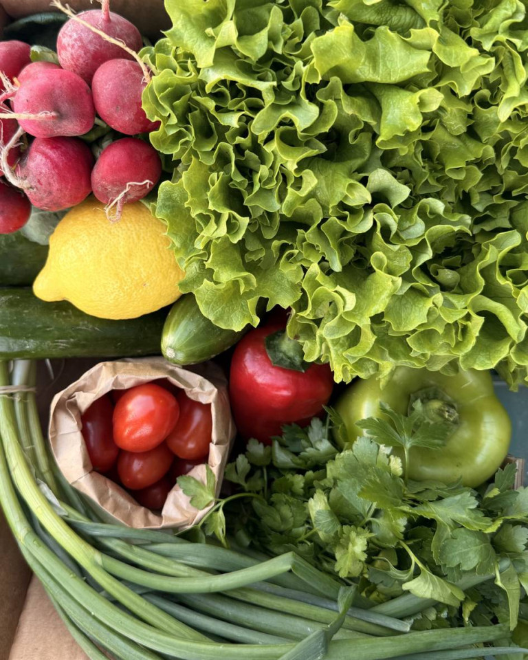 MIX de legume de primavara, ECO