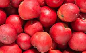 Mere Innored, ECO, 500g