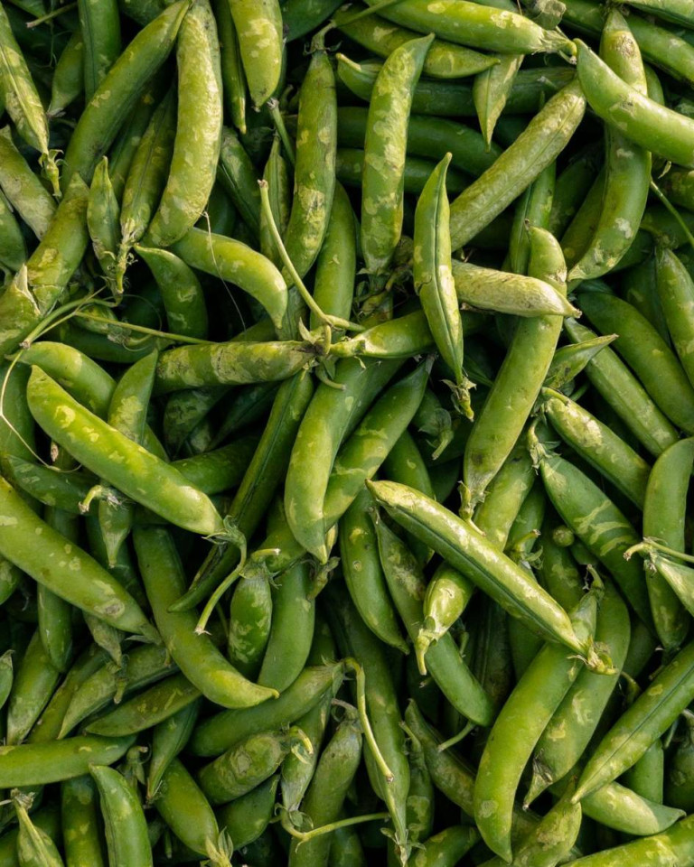 Mazare pastai, ECO, 500g