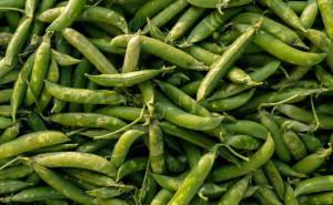 Mazare pastai, ECO, 500g