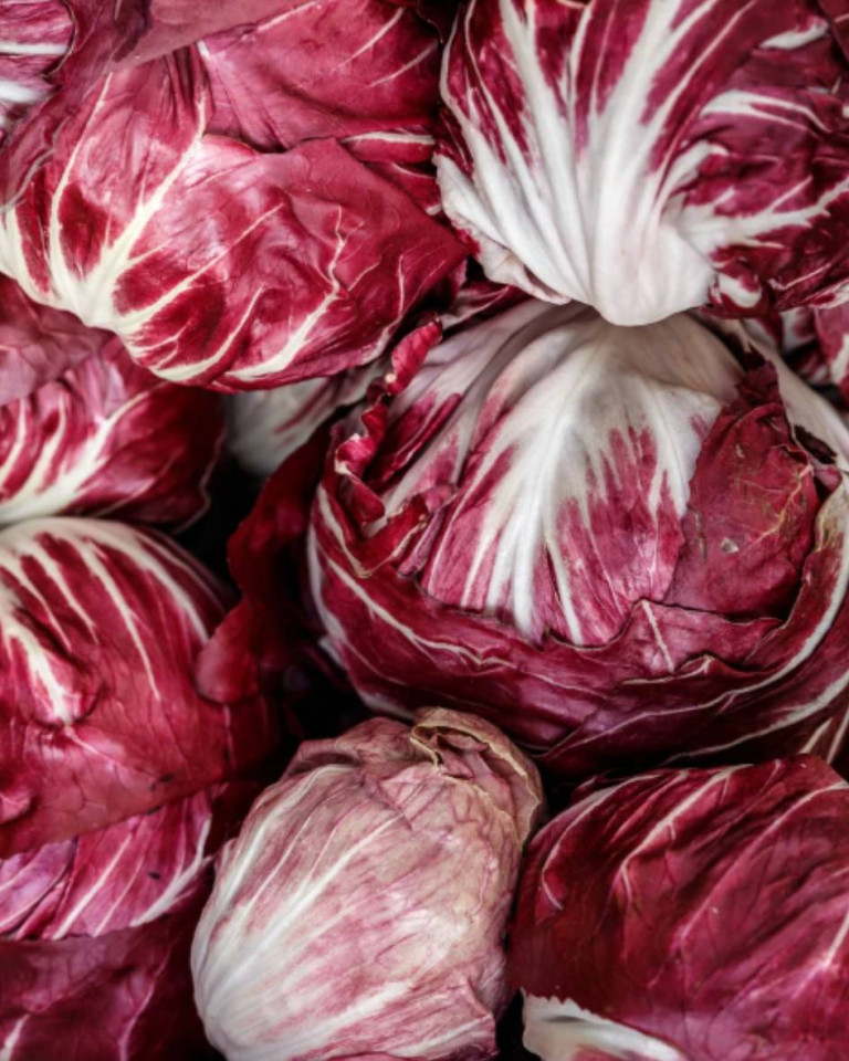 Radicchio, ECO, 1buc