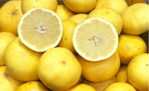 Grapefruit galben, ECO, 1 buc (mini 750g)