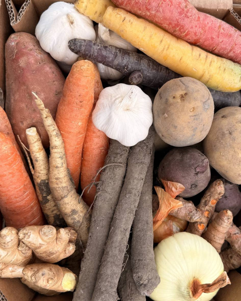 Ladita MIX radacinoase, ECO, aprox 3,9 kg