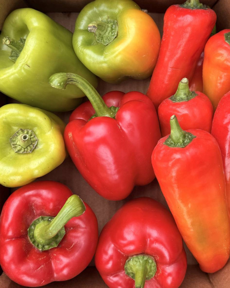 MIX de ardei, ECO, aprox 2kg